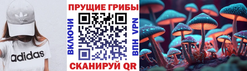что такое   Свободный  Псилоцибиновые грибы мицелий 