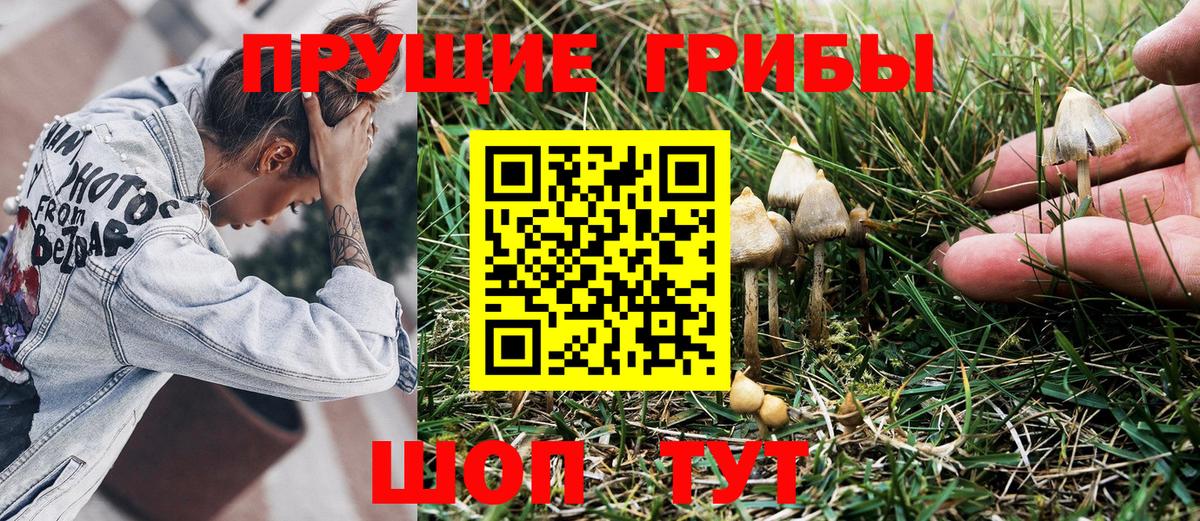 Свободный  Галлюциногенные грибы мицелий  Псилоцибиновые грибы ЛСД  наркота  Вход с VPN 